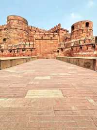 **"Where Mughal grandeur meets spring’s gentle touch. 🌸🏰"**  