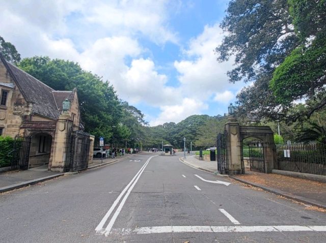 #雪梨大學The University of Sydney