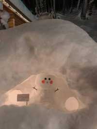 北海道富良野⛄️雪國森林精靈露台