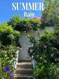 Summer Rain คาเฟ่สุดน่ารัก 🌸