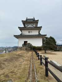 【丸亀】日本一高く美しい石垣⭐️現存の名城✨