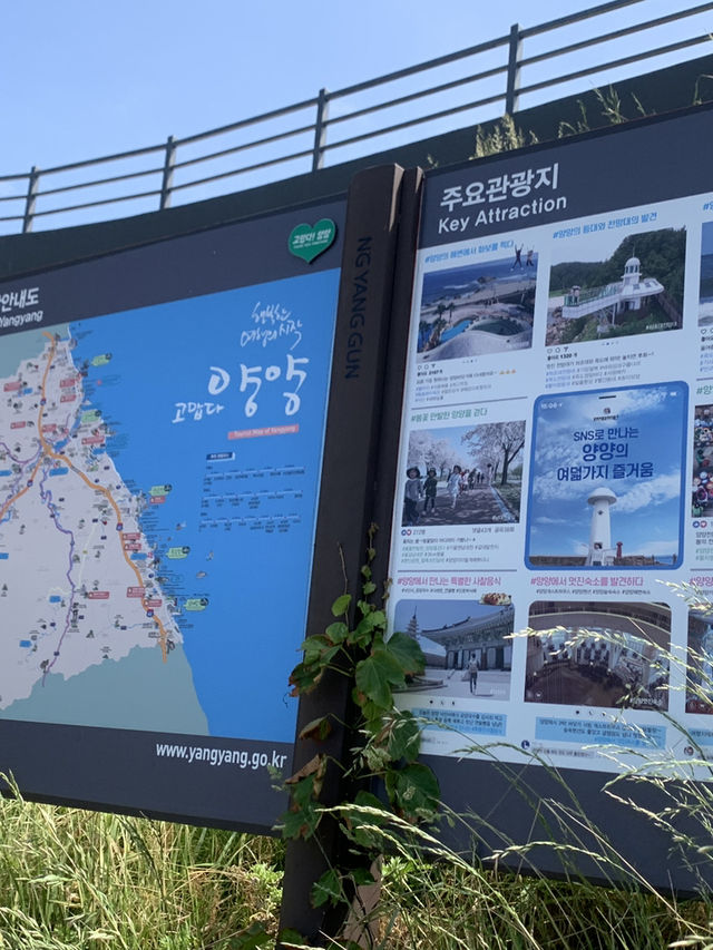 자연러버가 추천하는 강원도 야외데이트장소는 여기💚🩵