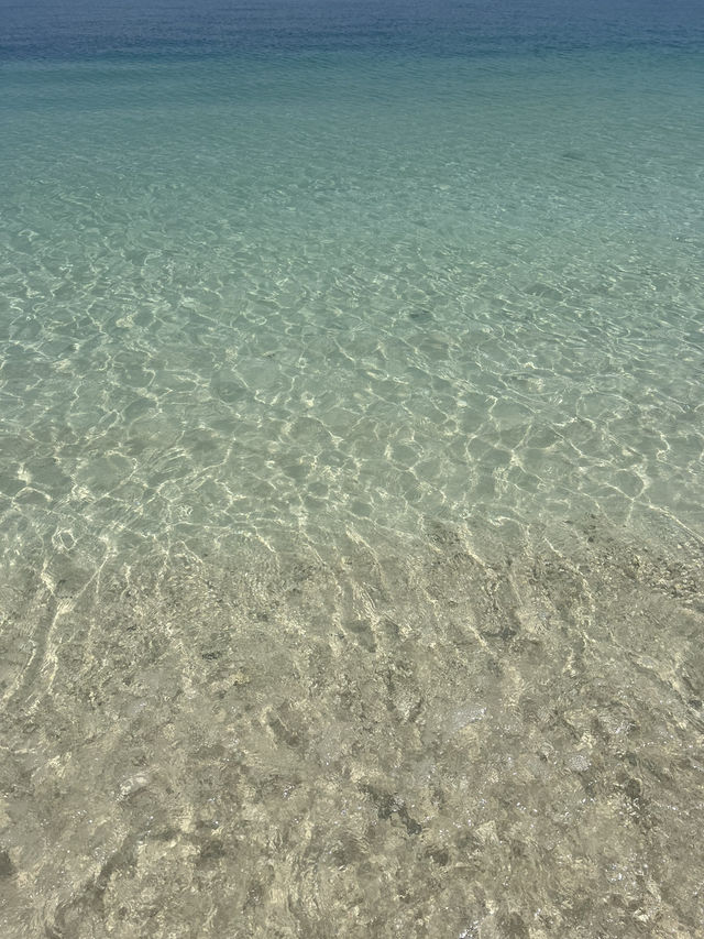 亞庇沙巴推到爆/美人魚島跳島必去