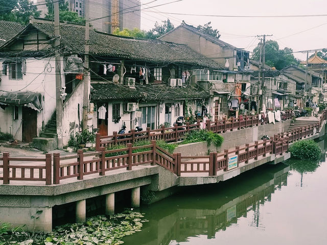 🇨🇳:上海 古き良き中国が息づく水郷の街並み🌊🏮