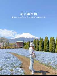 【山梨県】富士山とネモフィラを巡る絶景ドライブコース