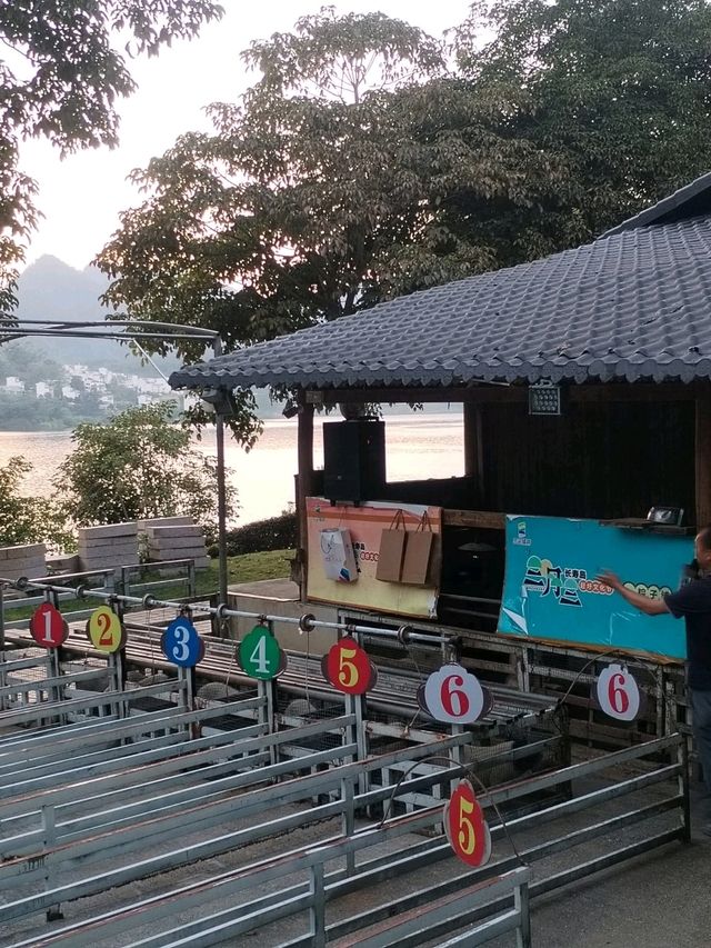 Longevity Island (Bama, Guangxi)