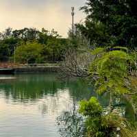 澄清湖｜「湖光山色中的櫻花樂園」