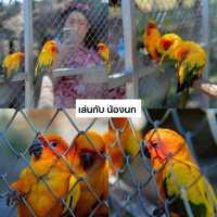แจกแพลน เที่ยว 1 วัน ที่ สิงห์ปาร์ค เชียงราย 