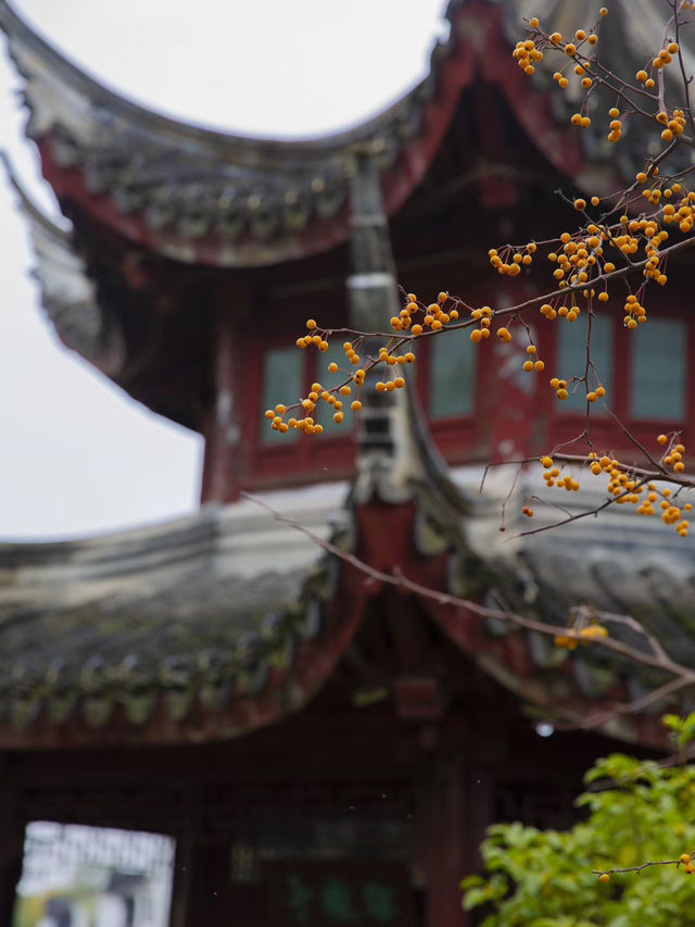 The Quiet Charm of Jiaxing’s Xitang