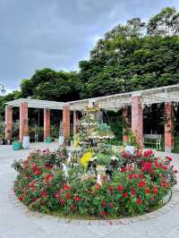 Taipei Rose Garden