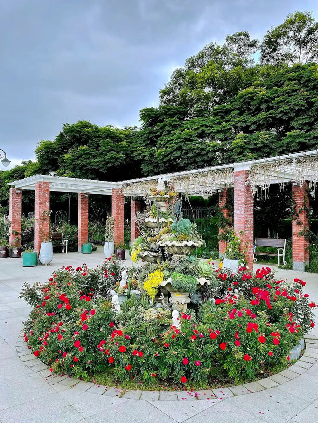 Taipei Rose Garden