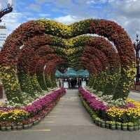 Lijiang: The City of Eternal Spring