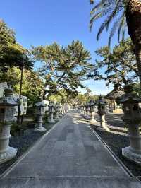 【千葉】続く参道に並ぶ灯篭 が美しい景観