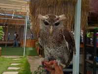 Batam Zoo Paradise