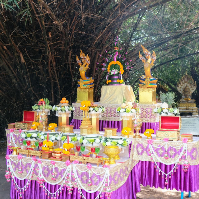 เจ้าปู่อือลือนาคราช เกาะดอนโพธิ์