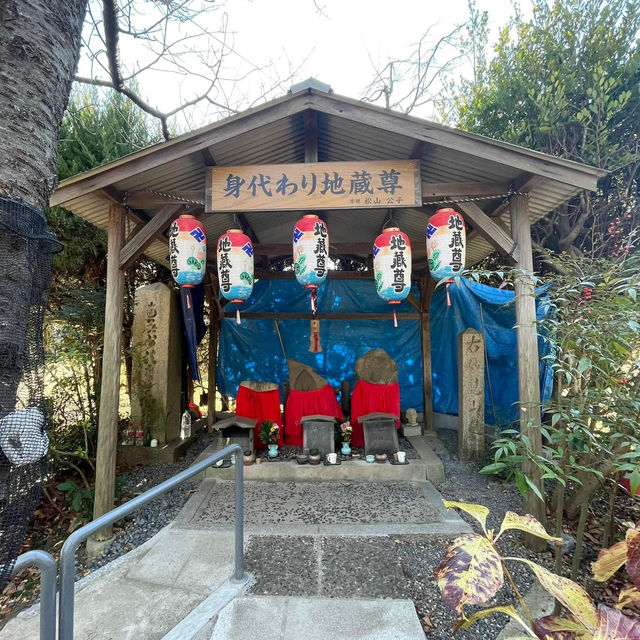 日本大仙公園💕避開人流好去處