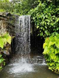 An Enchanting Retreat: The Ginger Garden 