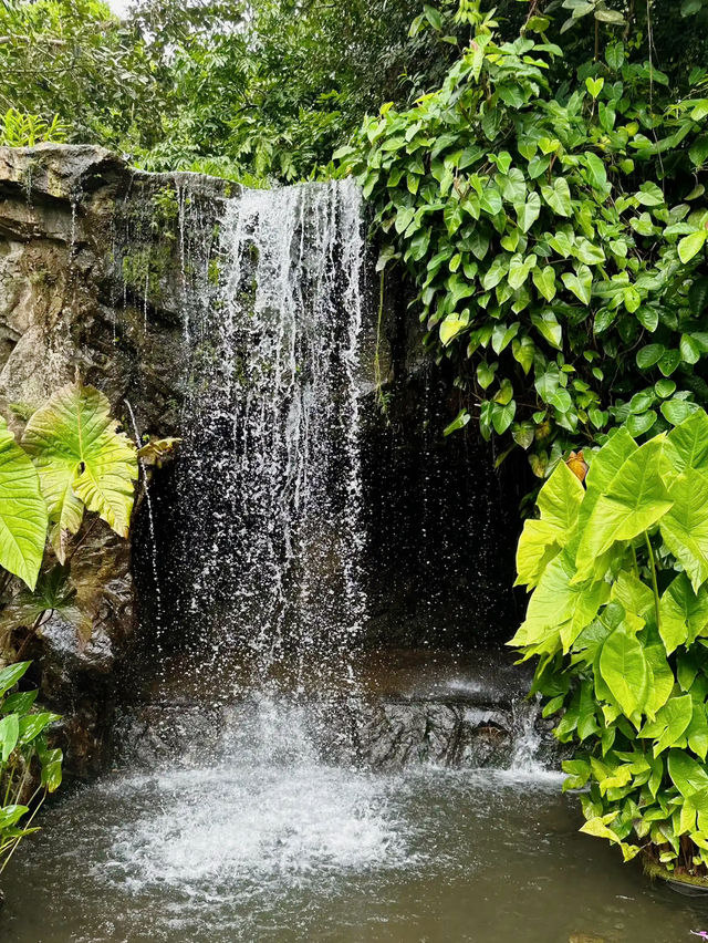 An Enchanting Retreat: The Ginger Garden 