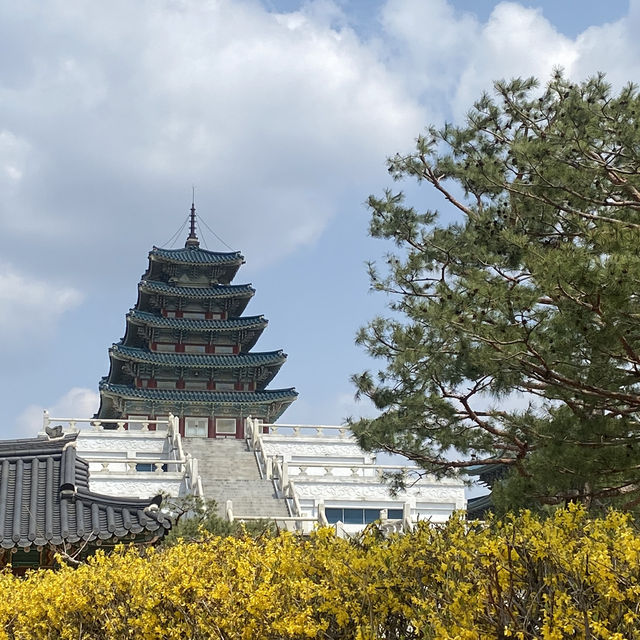 Lotte World Tower / Seokchon Lake Cherry Blossom