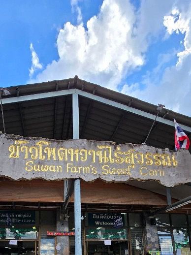 1 Day in •เขาใหญ่• ไปเติมรูปลงโซเชียลกัน🌻