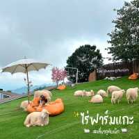 🐑 #ไร่ฟาร์มแกะ ภูทับเบิก☺️📌