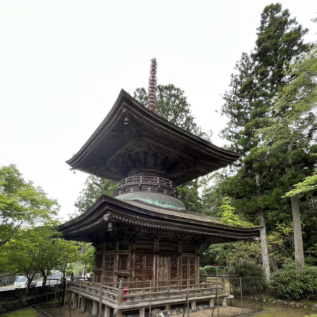 【高野山金剛峯寺】　世界遺産🌎