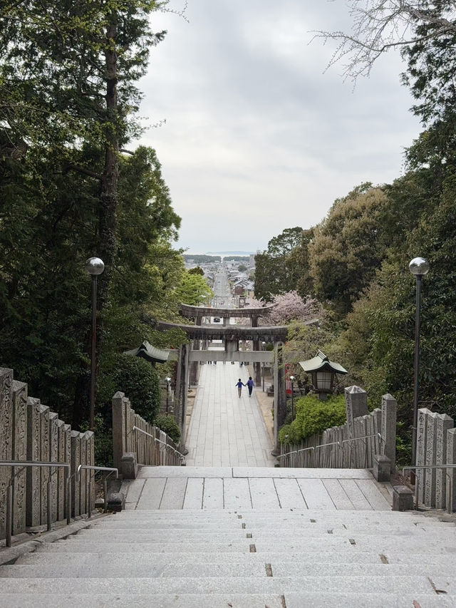 被譽為花卉名勝既⛩️宮地嶽神社