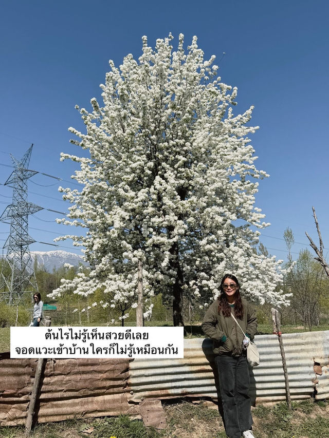 EP.3 ทริปแคชเมียร์ จะได้เป็นนักท่องเที่ยวกี่โมง 🇮🇳