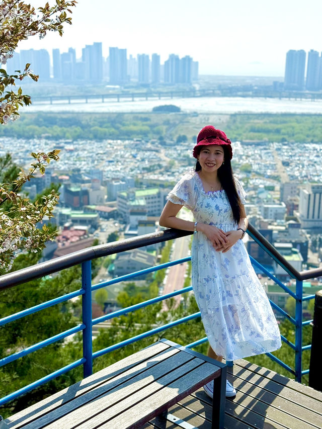 Beautiful Scenery at Top of the Mountain
