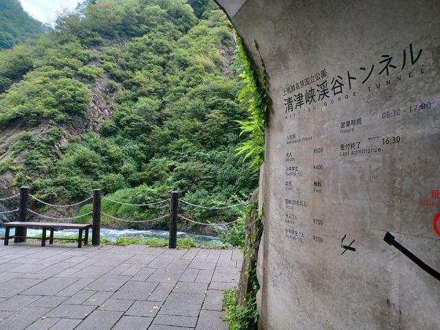 清津峡渓谷トンネルでアートと自然の融合を鑑賞