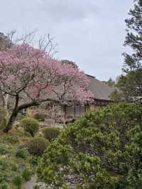 瑞巖寺-來到日本三景松島絕對不能錯過的國寶