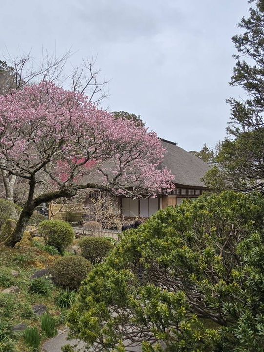 瑞巖寺-來到日本三景松島絕對不能錯過的國寶