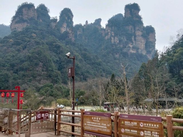 Step into a real life fairy tale at Zhangjiajie National Forest Park