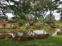 🌸 Serenity Now! A Peaceful Escape at Japanese Garden, Singapore 🌸