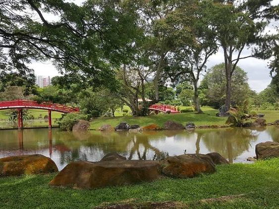 🌸 Serenity Now! A Peaceful Escape at Japanese Garden, Singapore 🌸