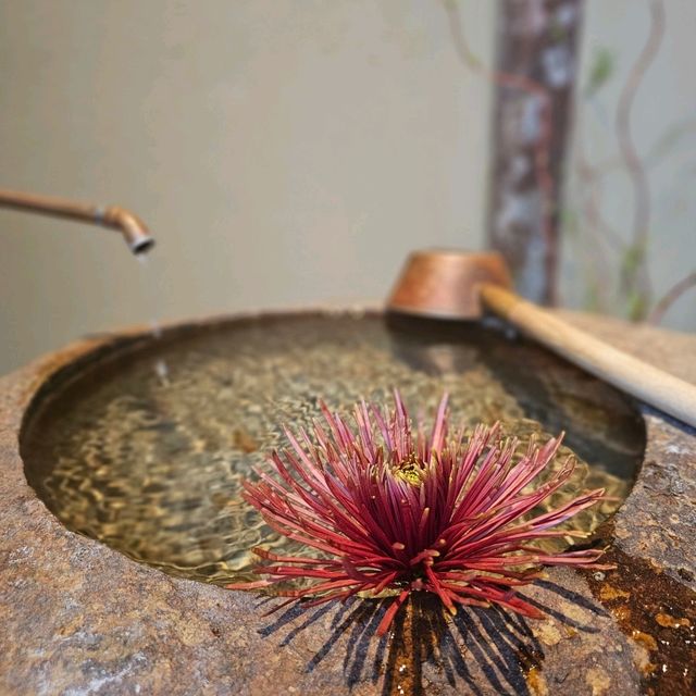 京都の工務店が手がけたリノベされた倉庫の異空間で紡がれる花と食