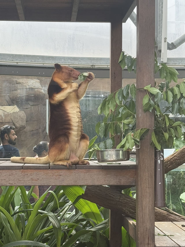 澳洲悉尼景點推介
