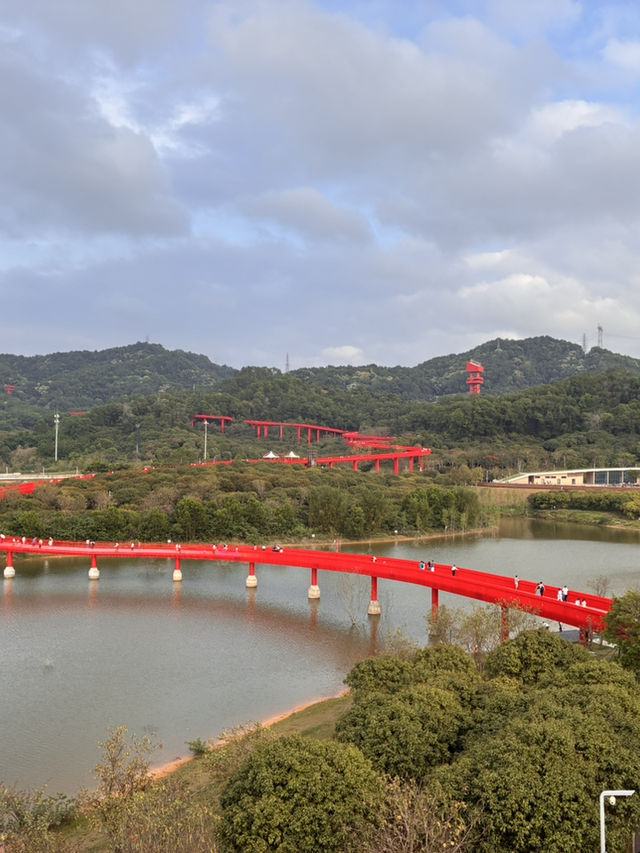 📸新景點🌸chill放鬆～光明虹橋🌈