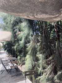🌳 ปูรณ์-POON คาเฟ่บางแสน ถ่ายรูปสวยทุกมุม!☕️