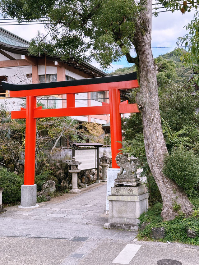 Sippin’ Serenity: A Matcha-Lover’s Day Out in Uji, Japan 🍵🌿