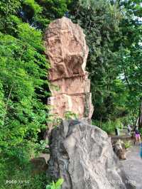 Replica dragon teeth