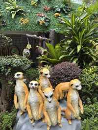 香港動植物公園｜自然與動物的融合