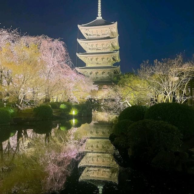 Quiet Vibes and Sakura Stealing the Spotlight