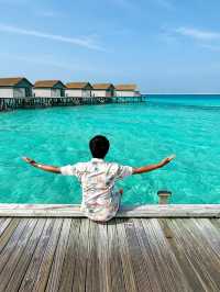 Maldives recap