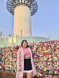 Chasing Sakura at N Seoul Tower