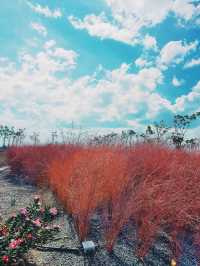 อากาศดีที่ อากาศคาเฟ่ สุพรรณบุรี