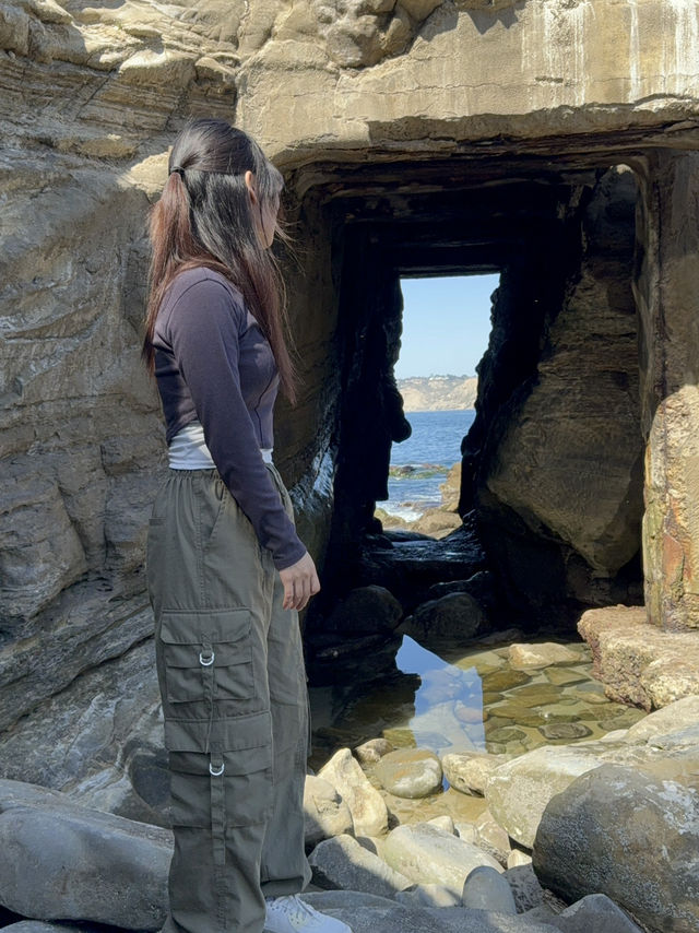 🐬 샌디에고 La Jolla Cove, 바다사자와 함께하는 해변!