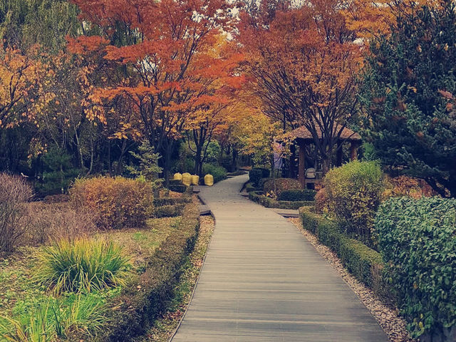 韓國有名的旅遊景點-南山公園🇰🇷