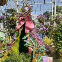 The Bronx in Bloom: The Orchid Show at NYBG