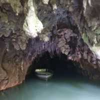 Waitomo Glowworm Caves – A Magical Underground Wonder 